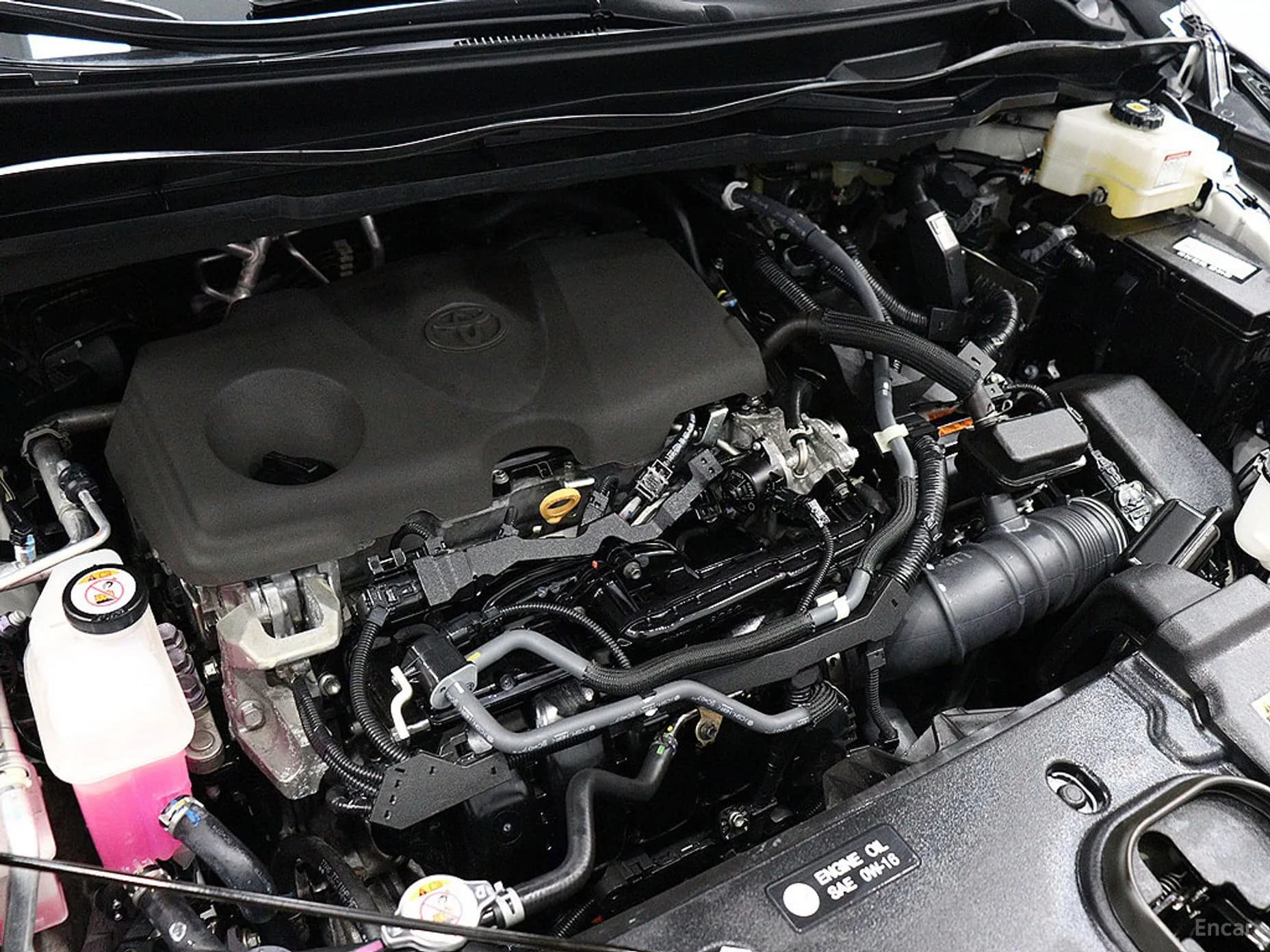 Siena 4th generation