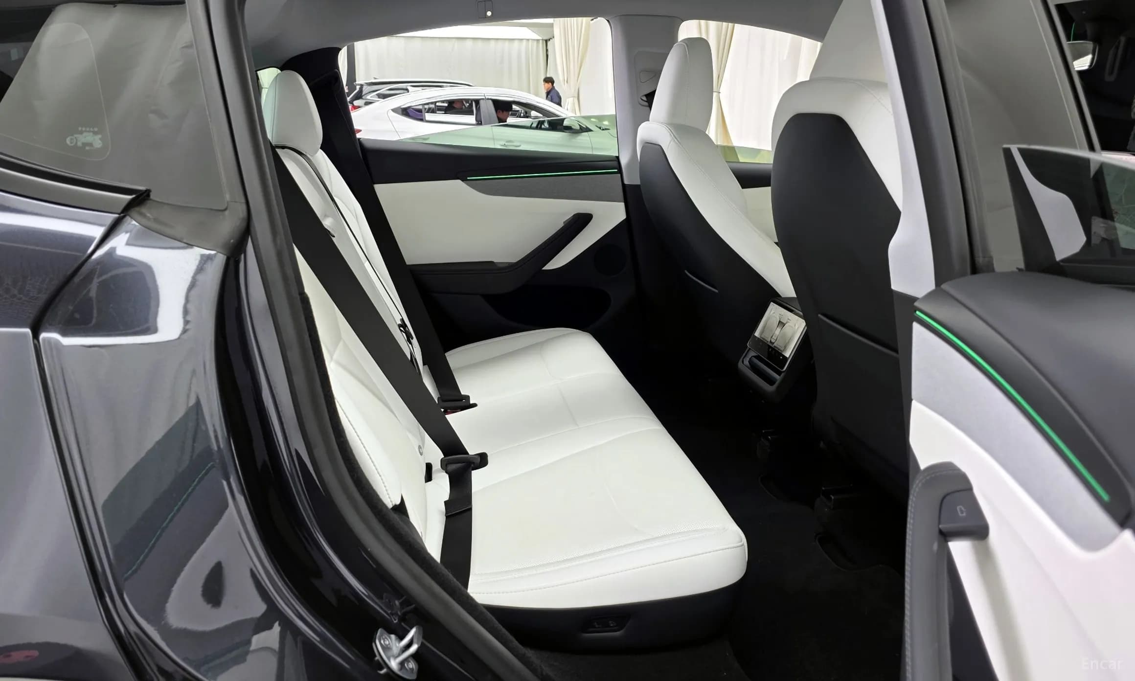 Model Y