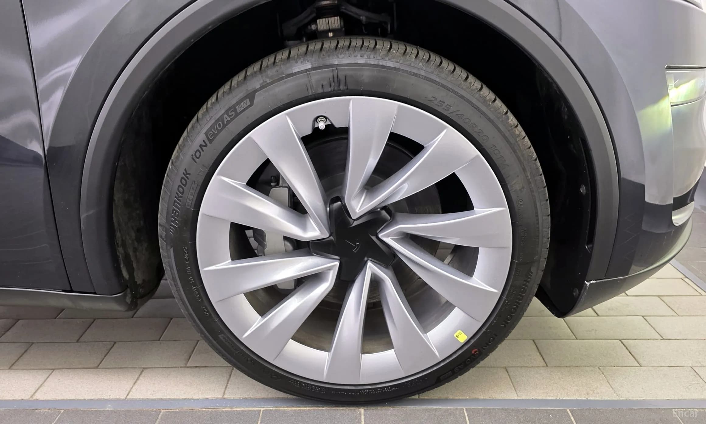 Model Y
