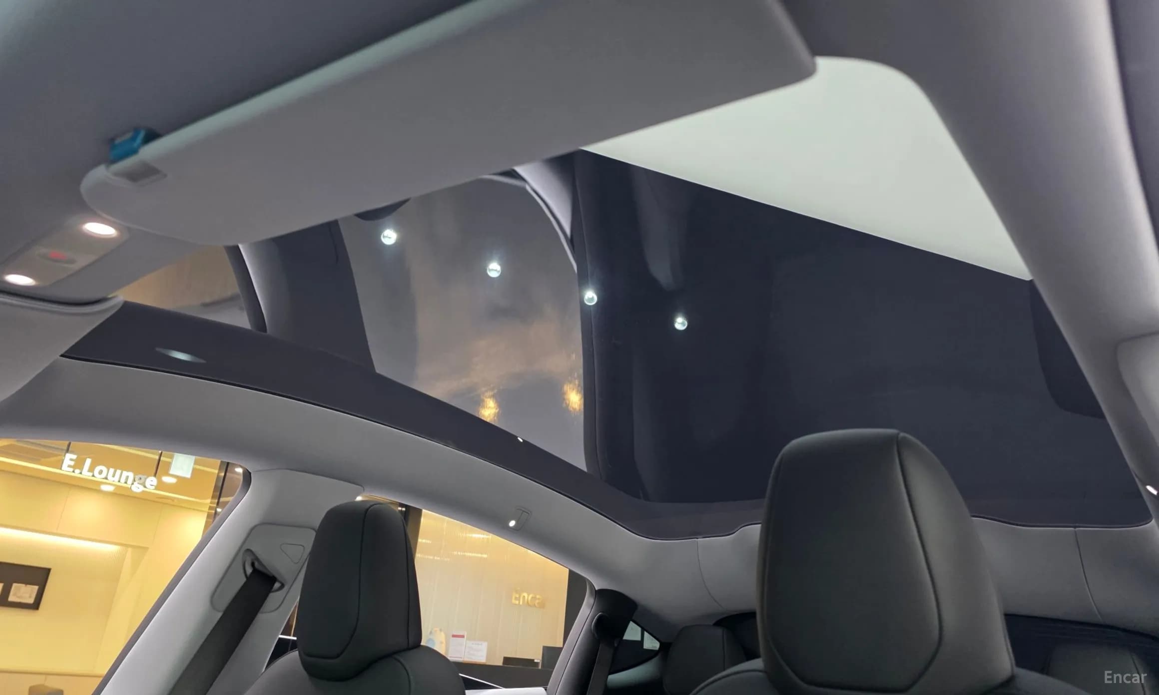 Model Y