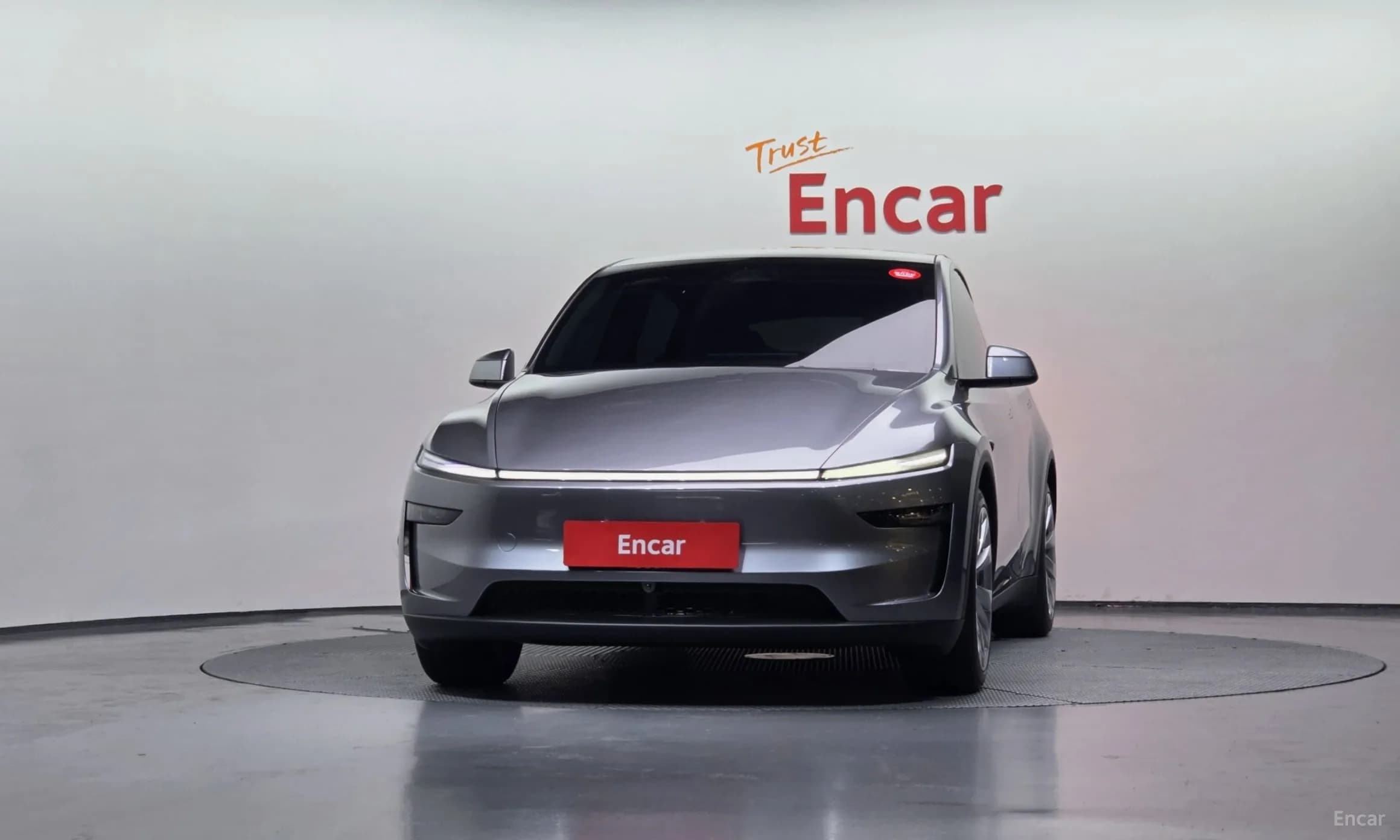 Model Y