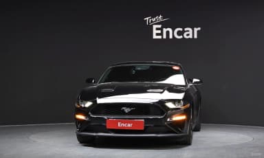 Mustang