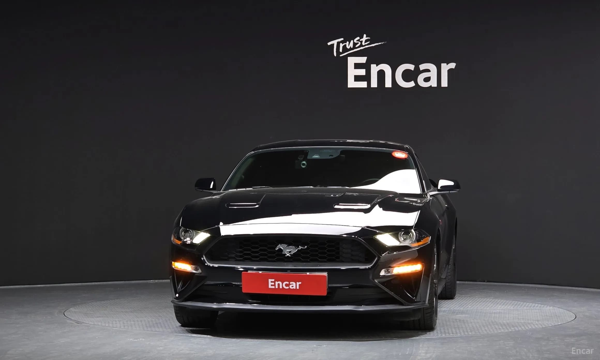 Mustang