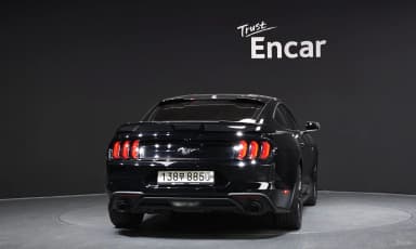 Mustang