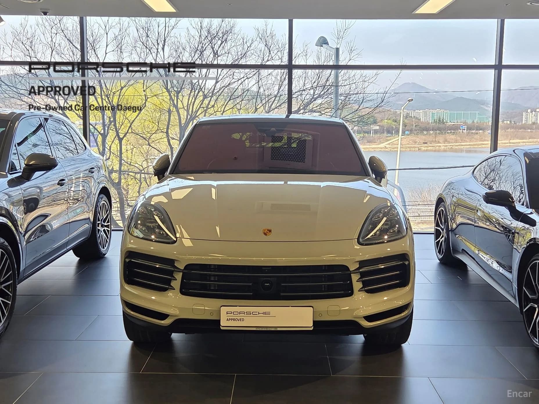 Cayenne (PO536)