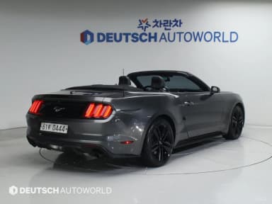 Mustang