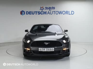 Mustang