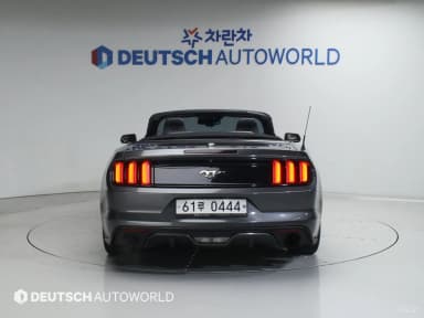 Mustang