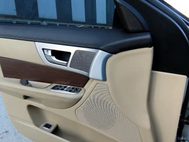 New XF