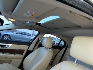 New XF