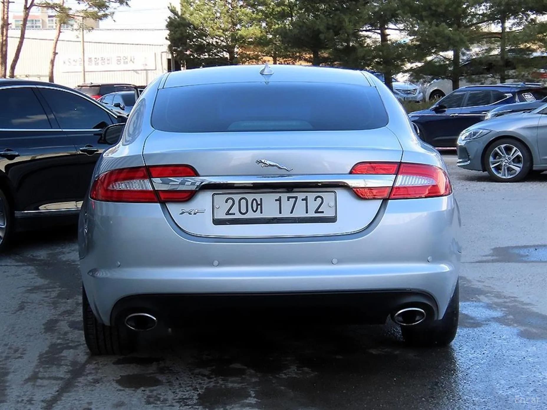 New XF