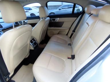 New XF