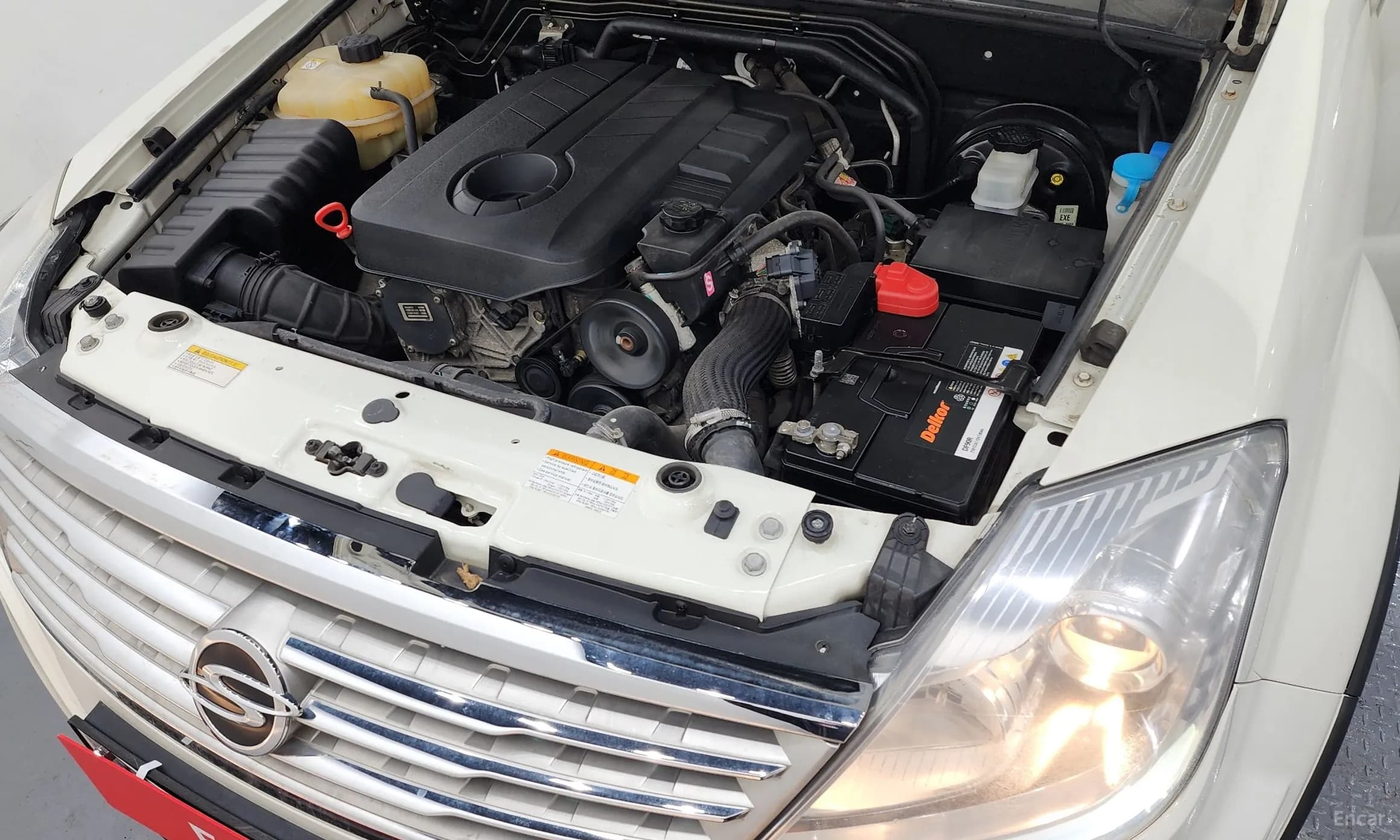 Rexton W