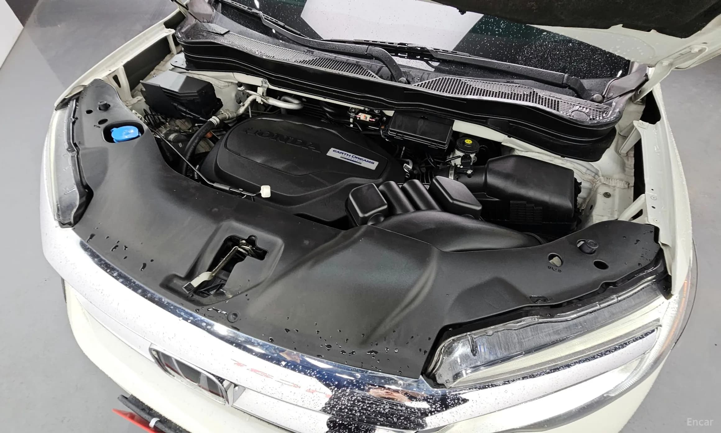 Pilot 3rd Generation