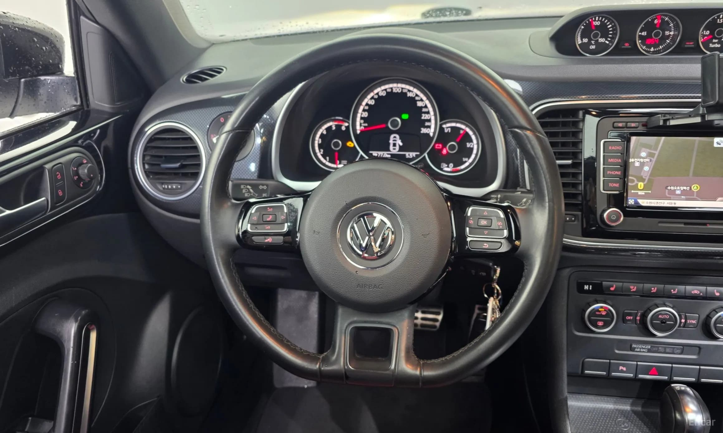 The Beetle