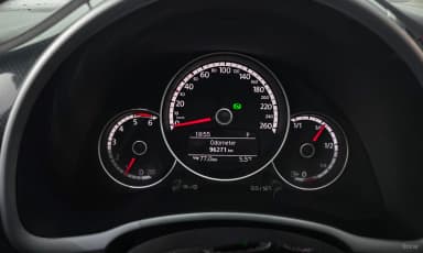 The Beetle