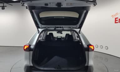 RAV4 5th Generation