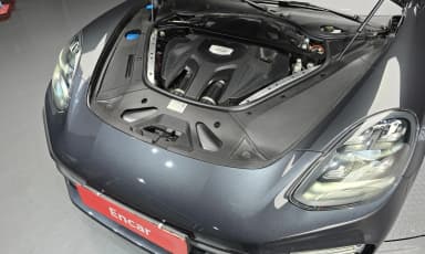 Panamera (971)