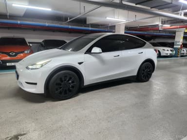Model Y