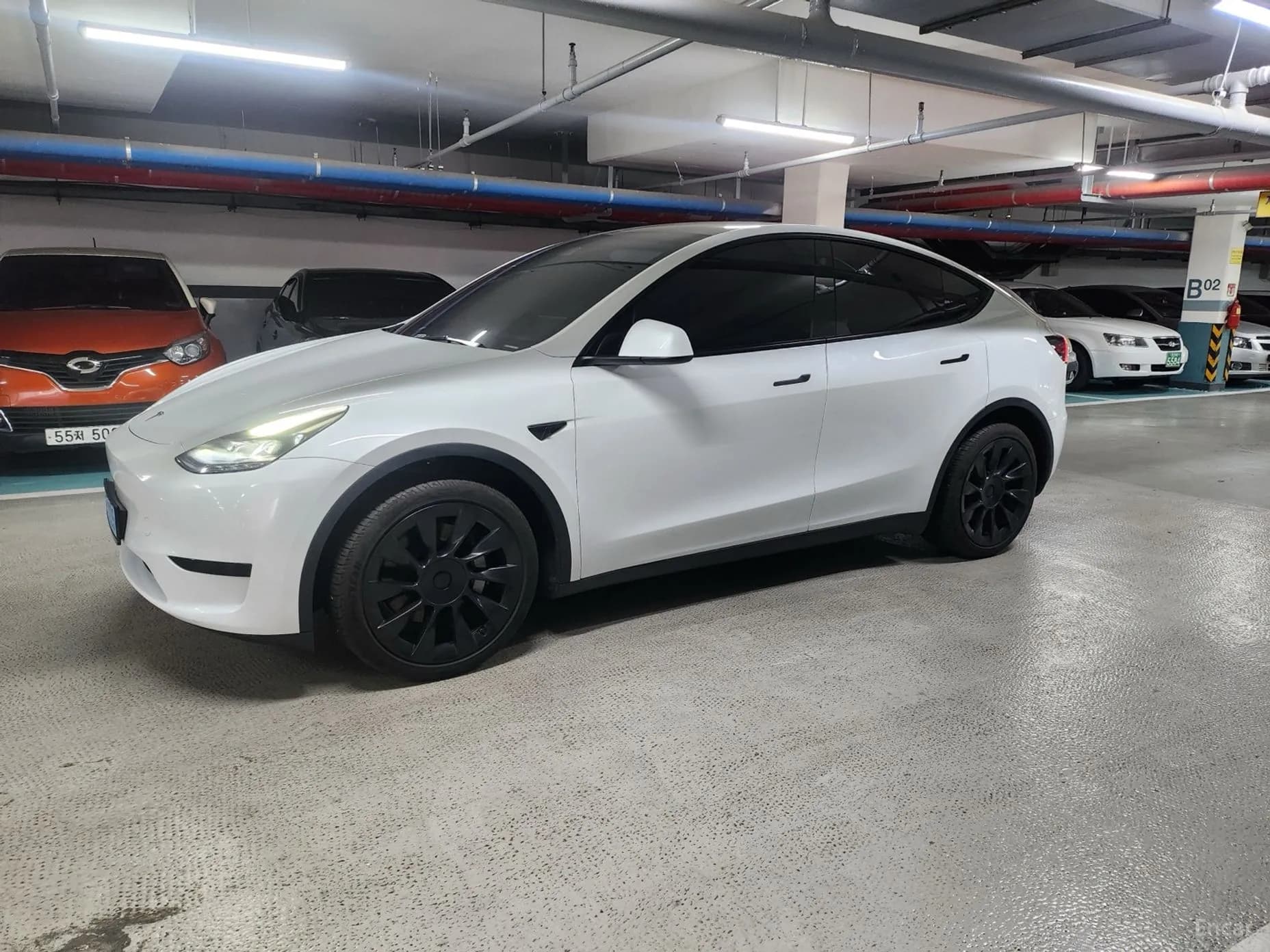 Model Y