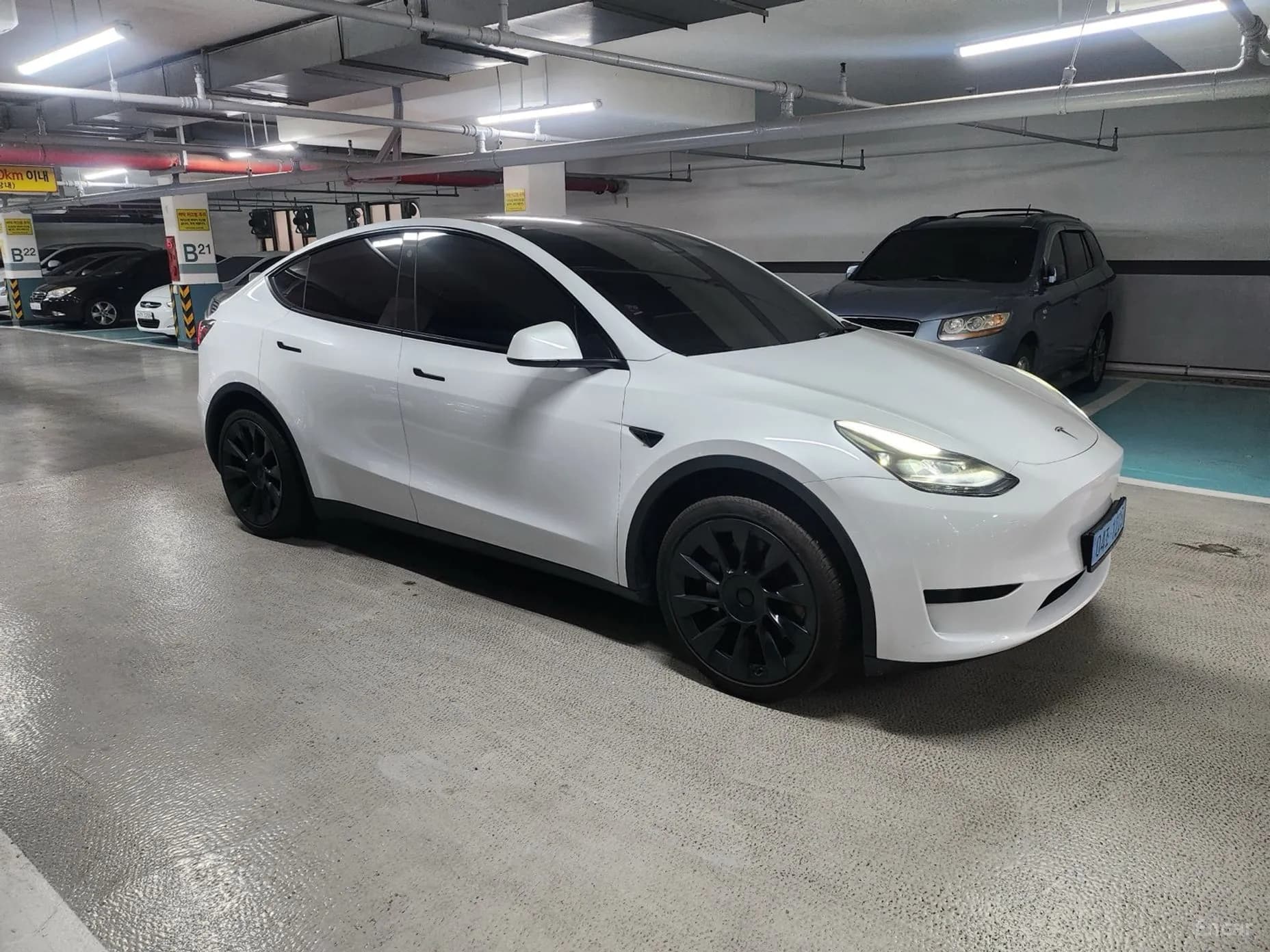 Model Y