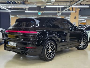 Cayenne (PO536)