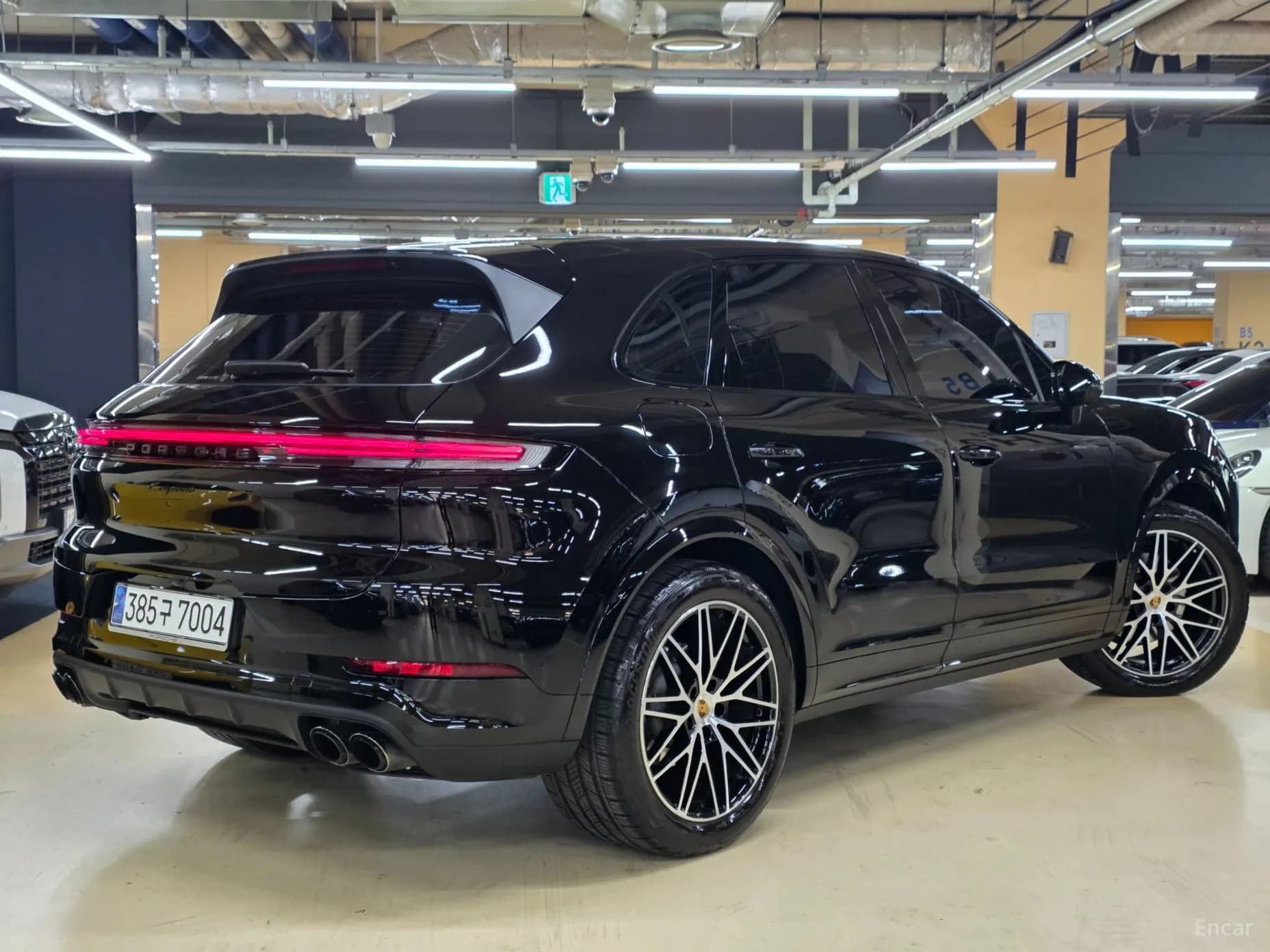 Cayenne (PO536)