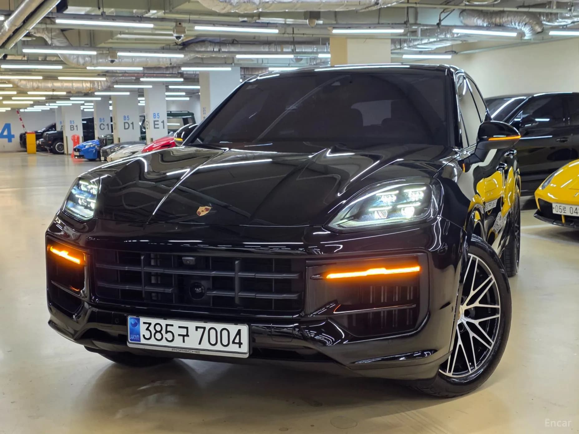 Cayenne (PO536)