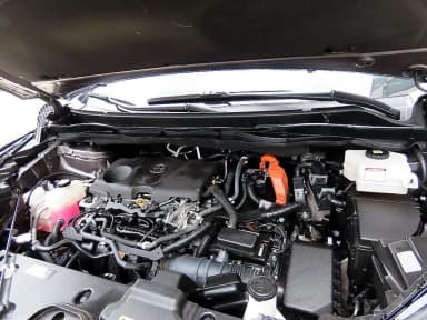 Siena 4th generation