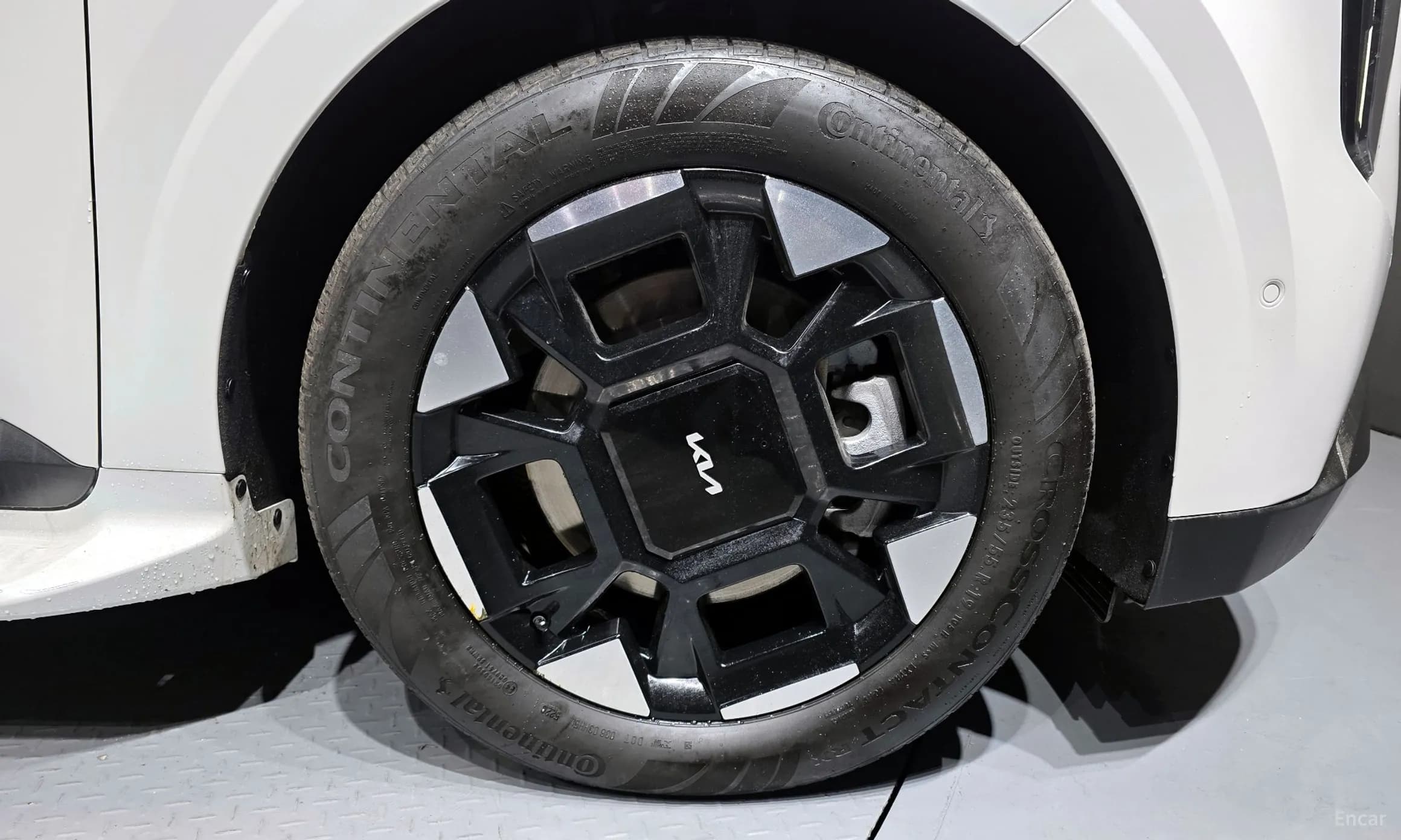 Carnival 4th Generation