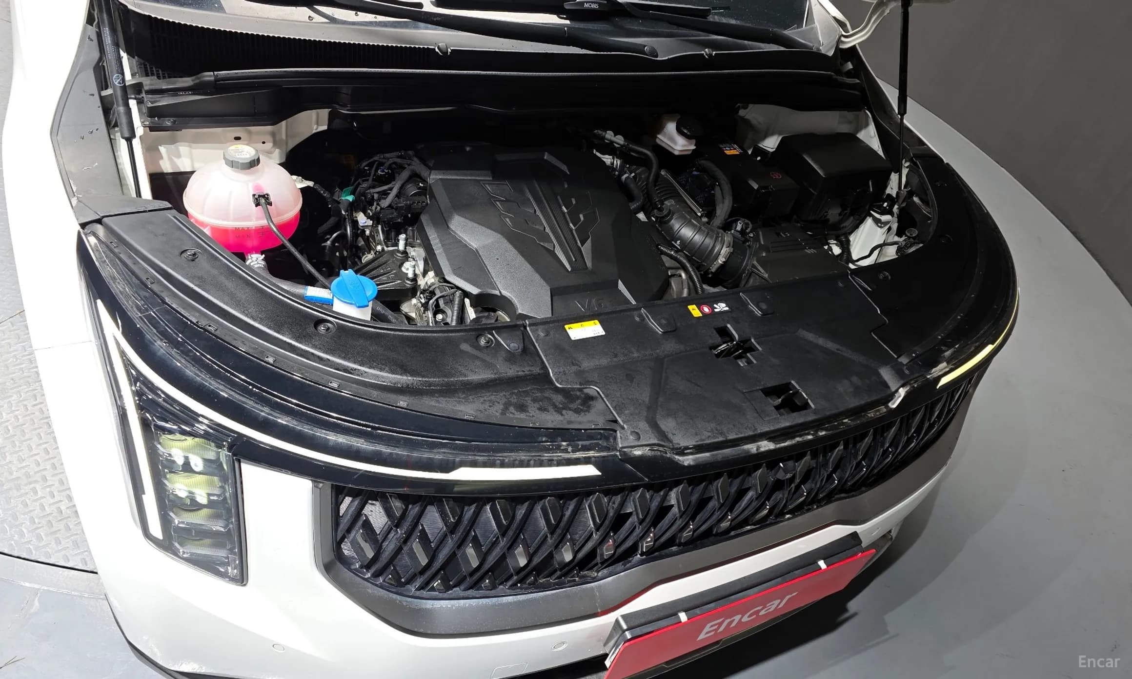 Carnival 4th Generation