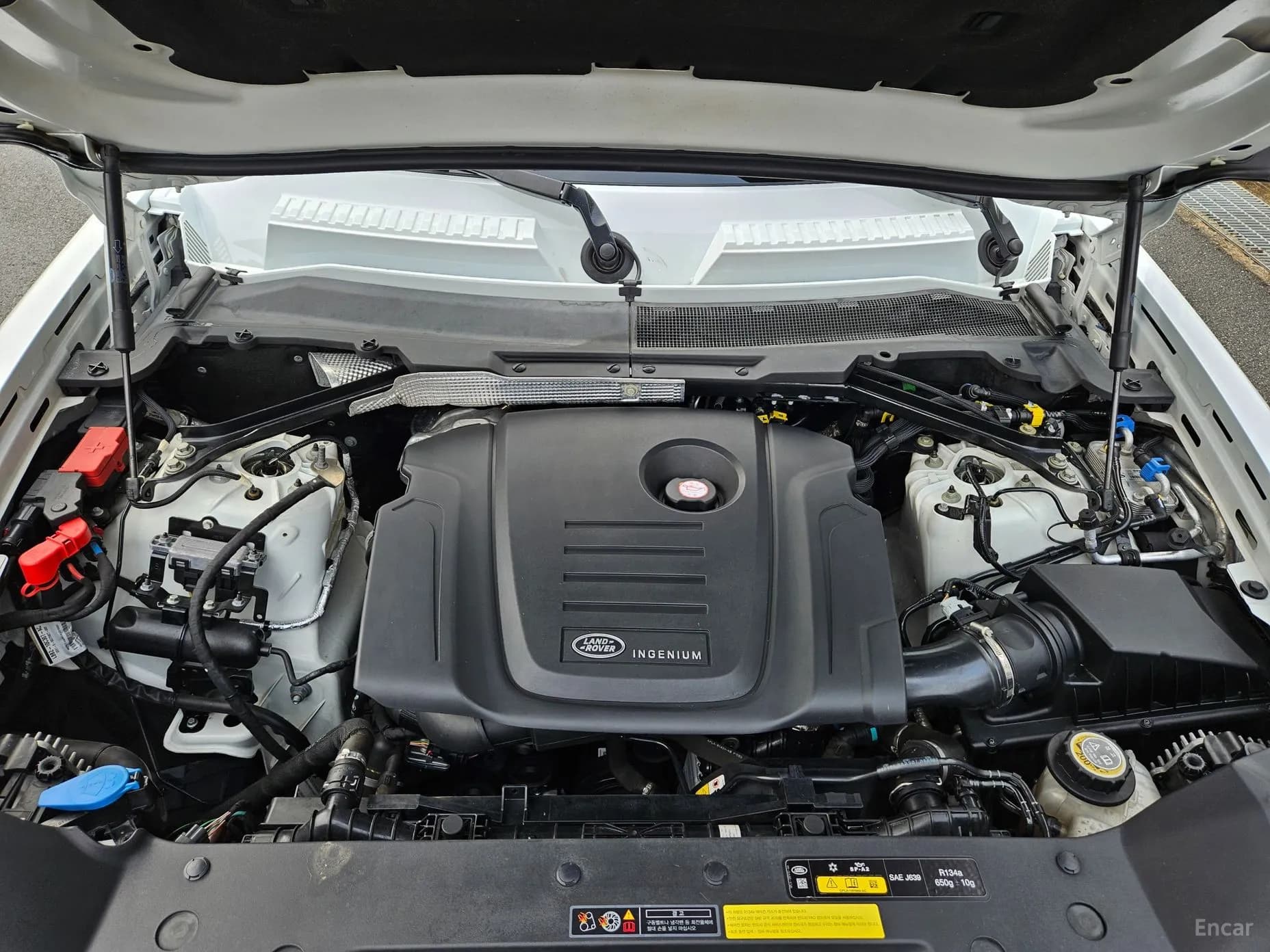 Defender (L663)