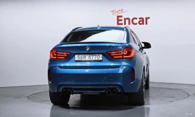 X6M (F16)
