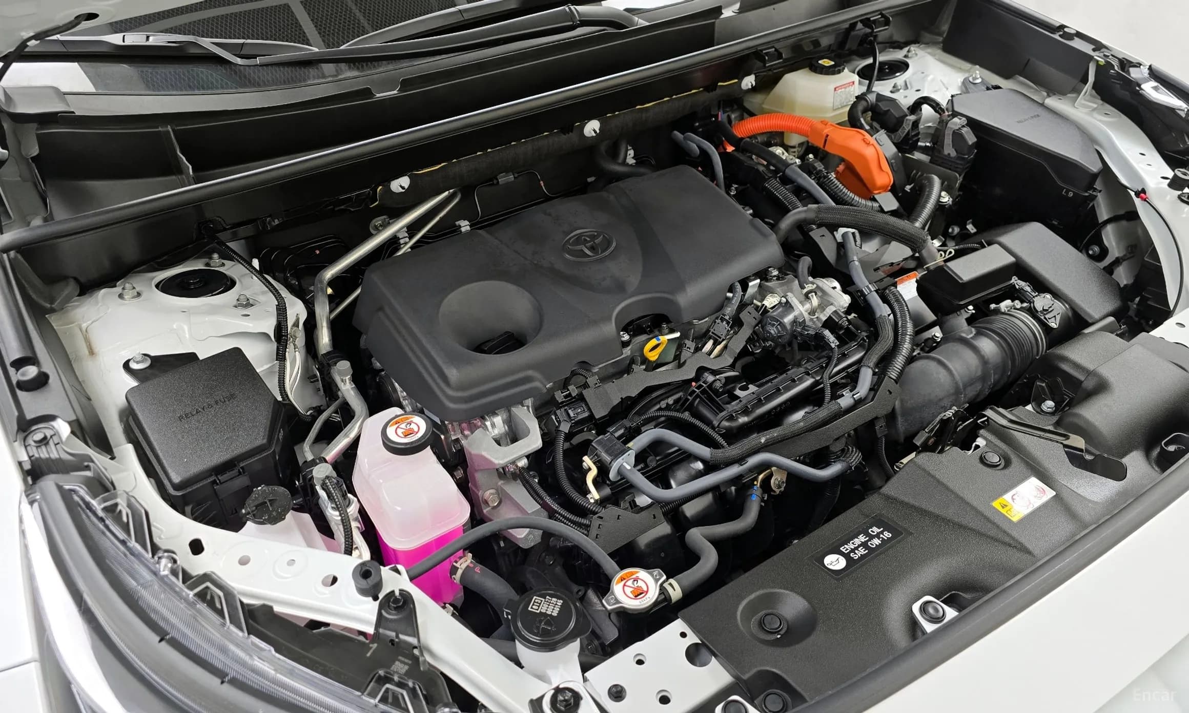 RAV4 5th Generation