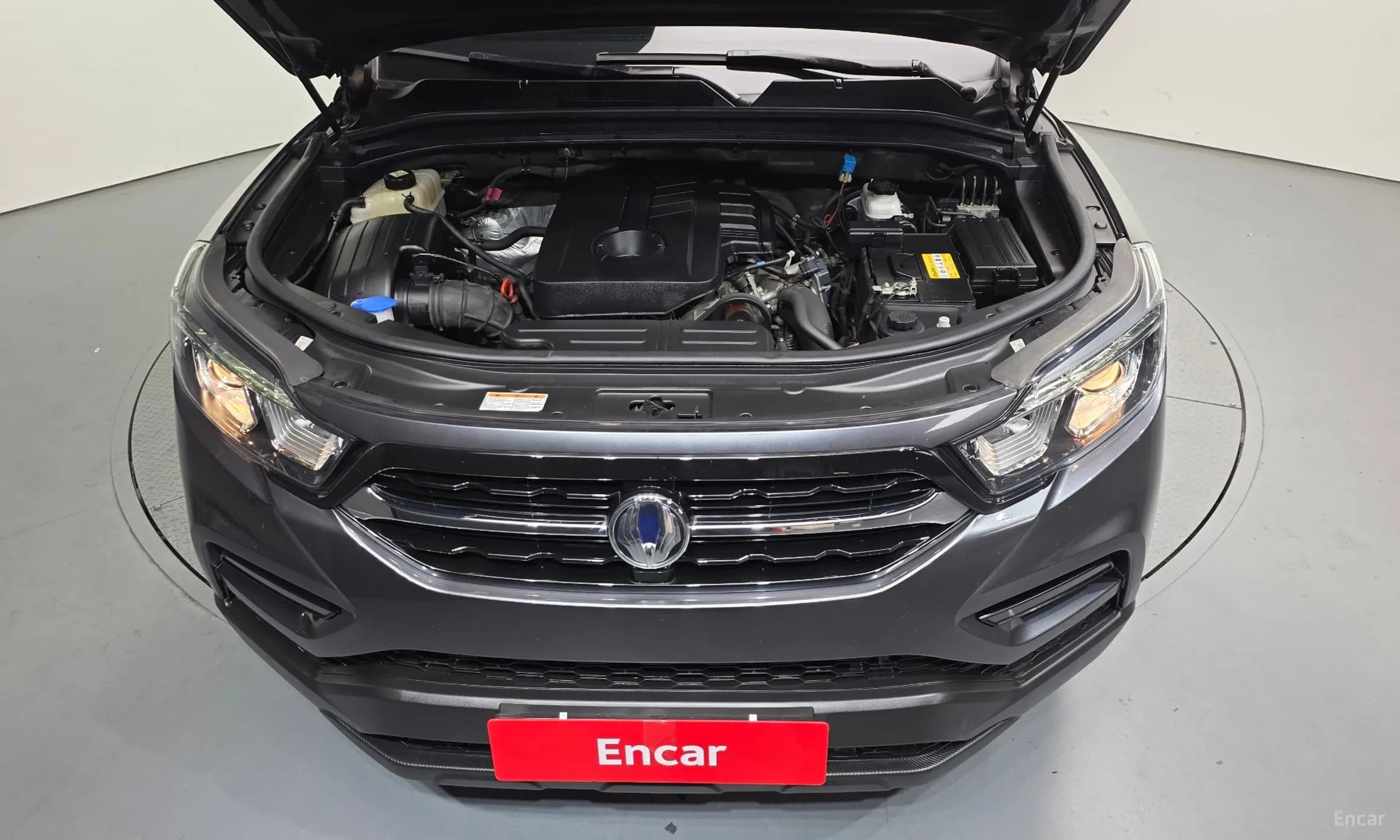 Rexton Sports