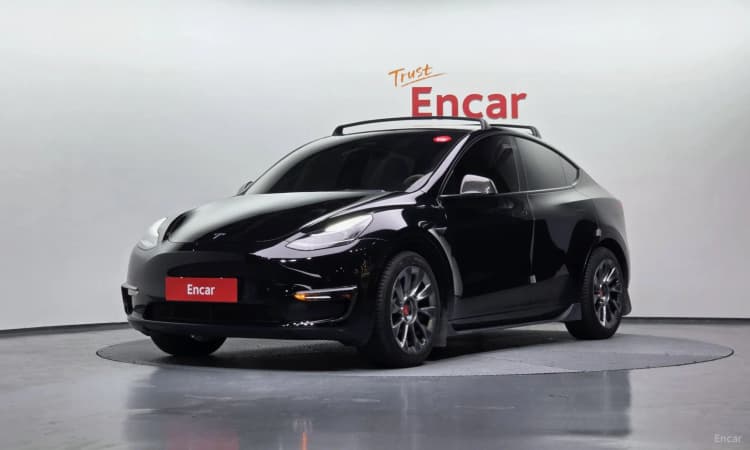 Model Y