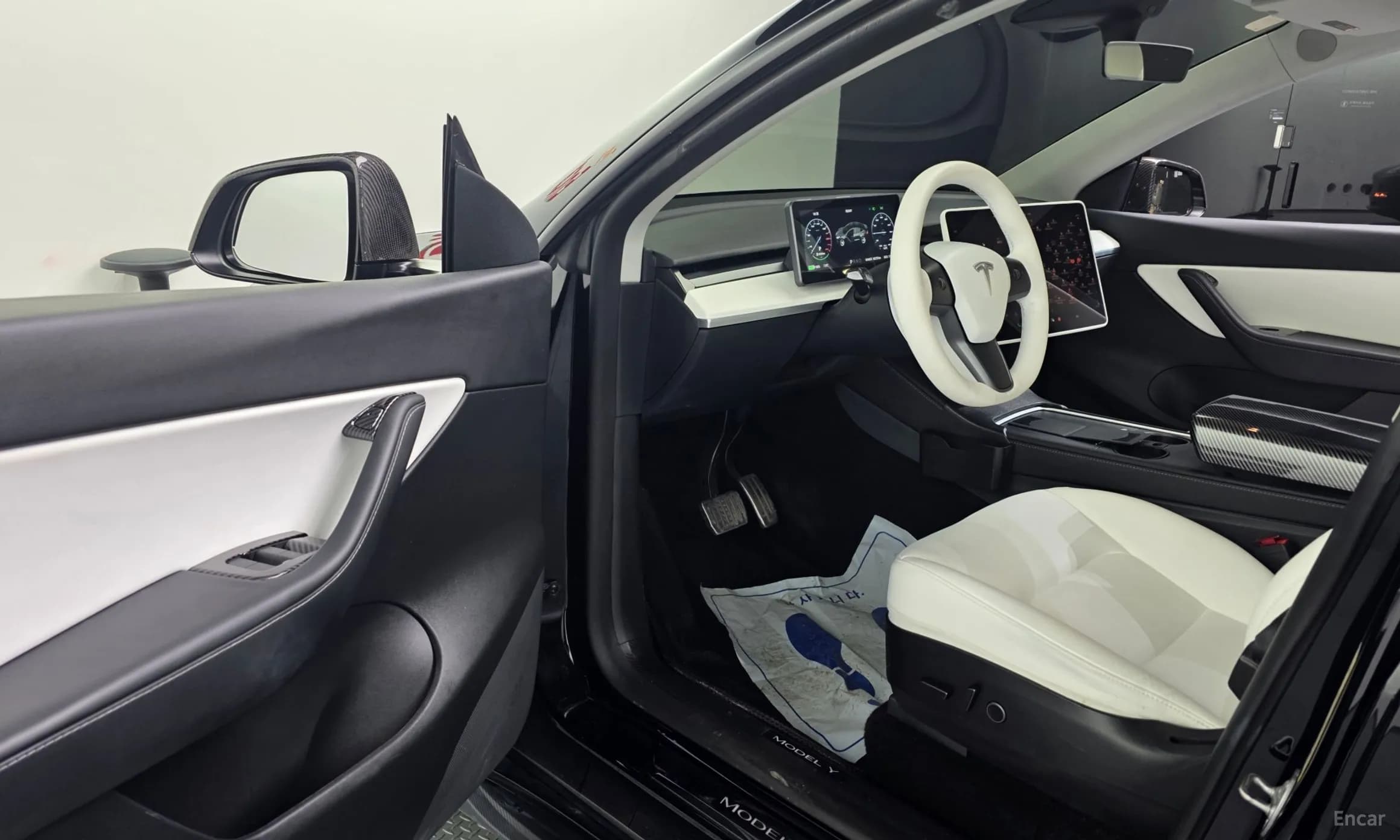 Model Y