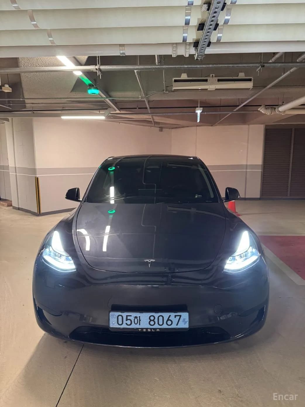 Model Y