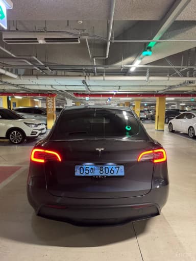 Model Y