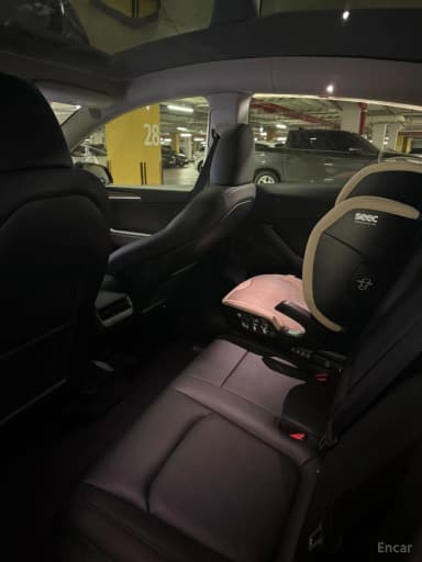 Model Y
