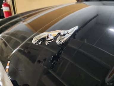 XJ-8