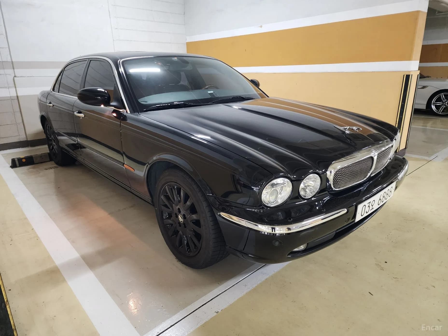 XJ-8