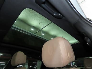 Cayenne (PO536)
