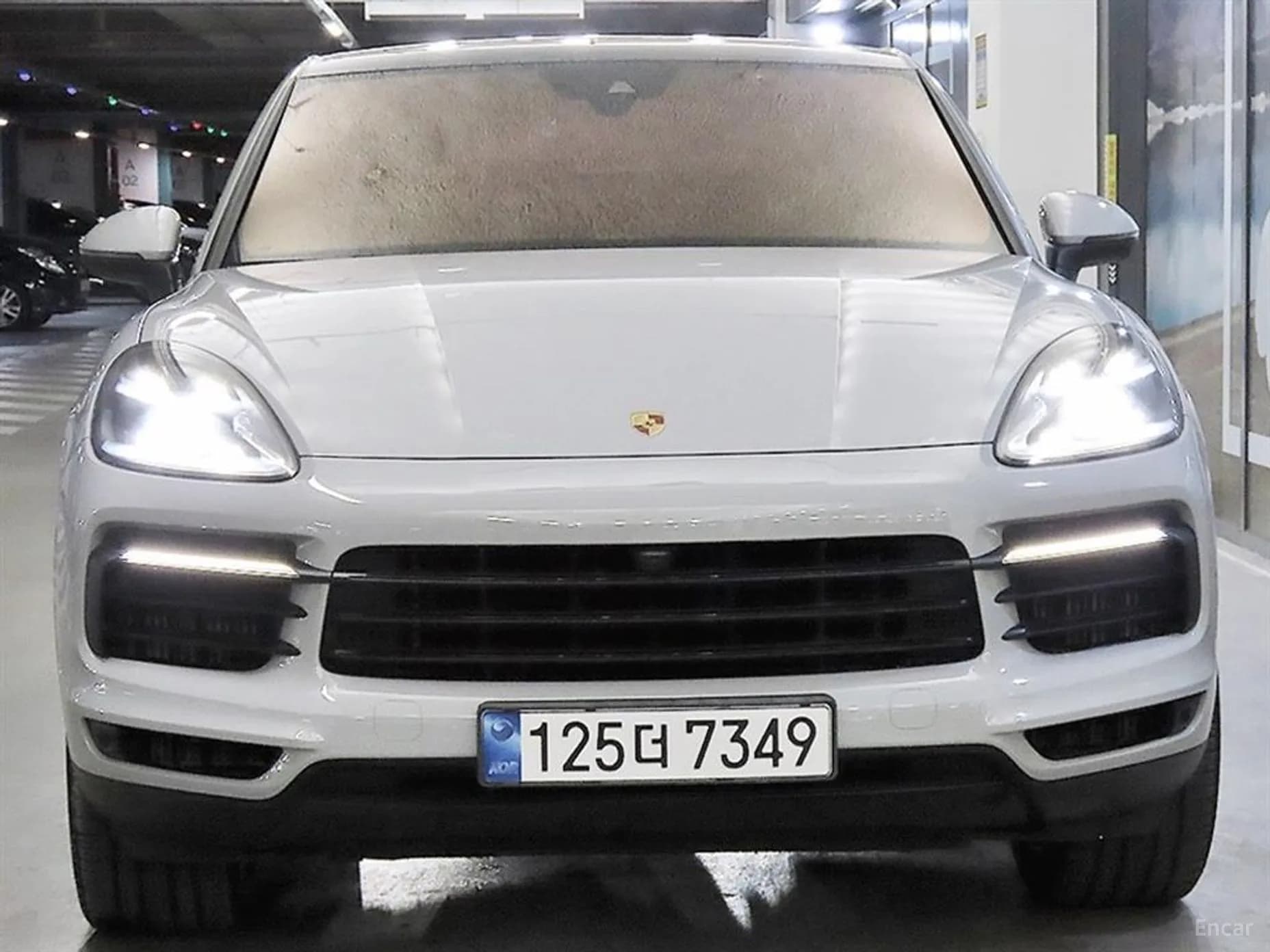 Cayenne (PO536)