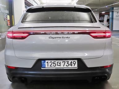Cayenne (PO536)
