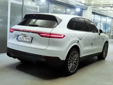 Cayenne (PO536)