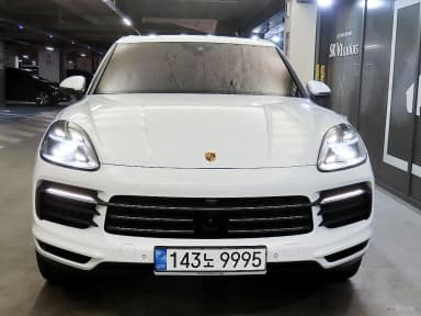 Cayenne (PO536)