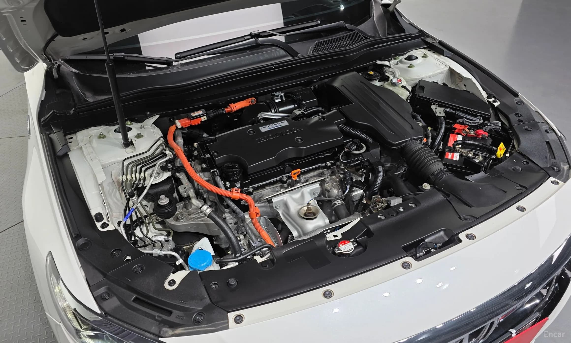 Accord 10th Generation