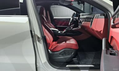 Cayenne (PO536)