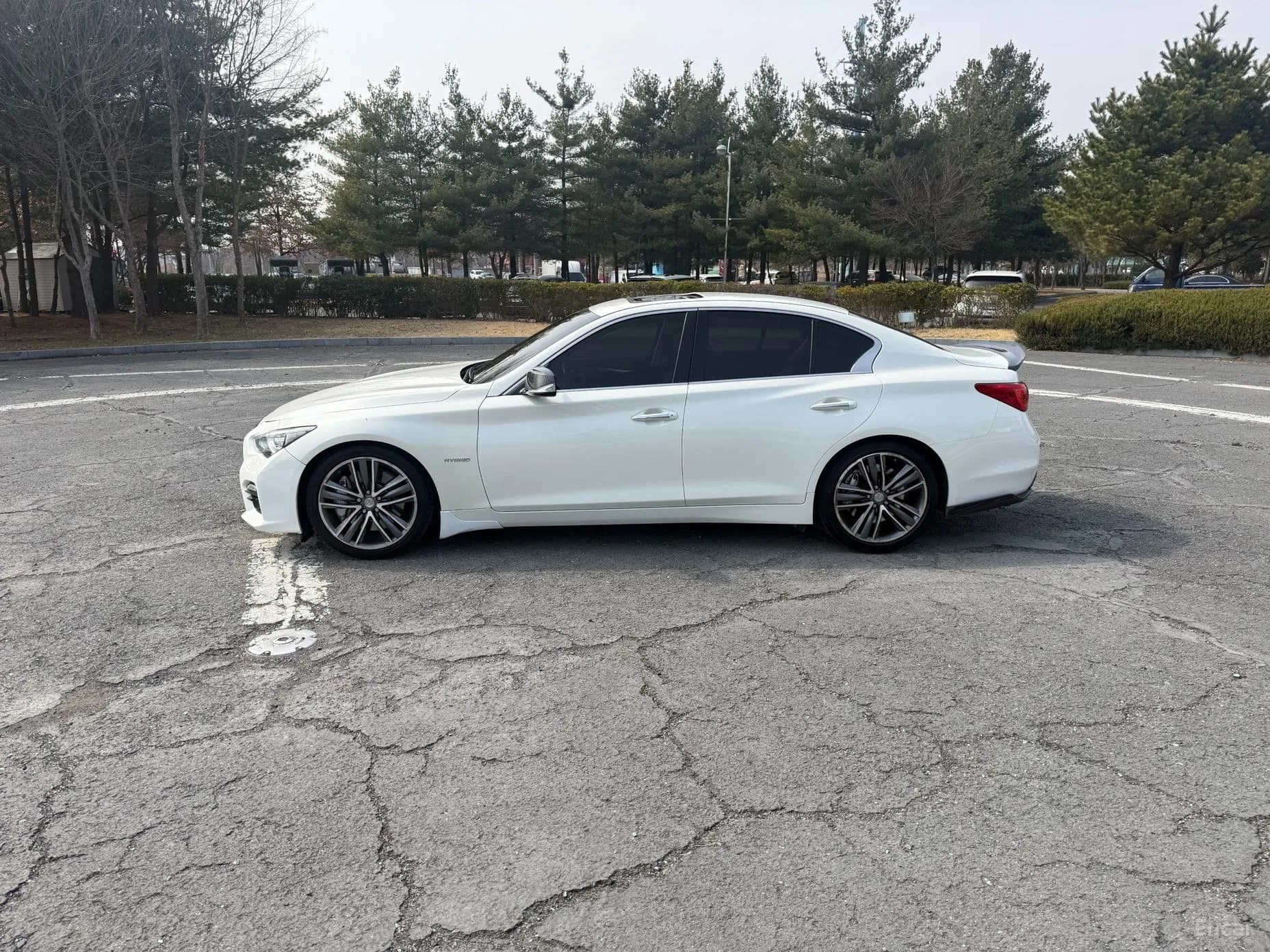 Q50